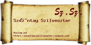 Szántay Szilveszter névjegykártya