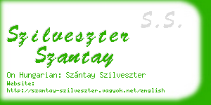 szilveszter szantay business card